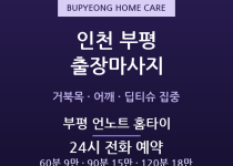 부평 출장마사지 - 부평역 문화의거리 거북… 출장마사지